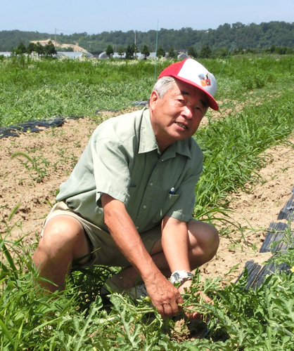 生産者の藤木さん